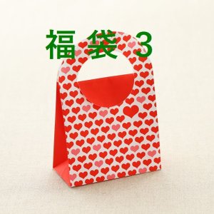 0007 福袋3